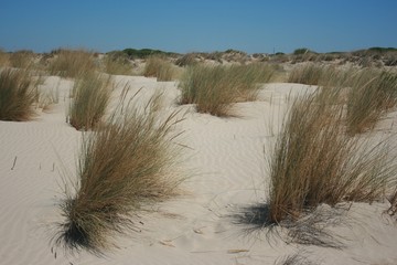 Golden sand at spain beach Huelva