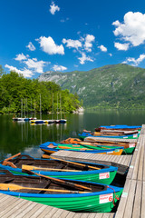 Obraz premium Lake Bohinj in Triglav national park, Slovenia
