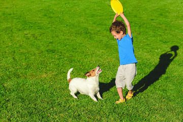 Happy dog and kid playing together on green grass at sunny summer day