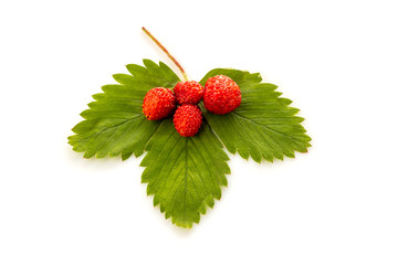 Sweet strawberries on a green leaf