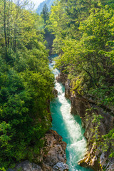 Fototapeta na wymiar Rriver Soca, Triglavski national park, Slovenia
