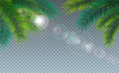 Vector Summer Illustration with Tropical Palm Leaves on Transparent Background. Exotic Plants and Sunlight for Holiday Banner, Flyer, Invitation, Brochure, Party Poster or Greeting Card.