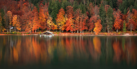 Autumn forest and water reflection panoramic view