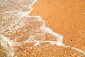 The sandy shore on which the sea wave runs over with foam.
