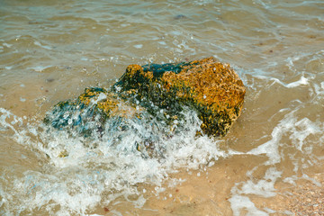 Fragments of stones near the sea shore in the water washed by the waves.