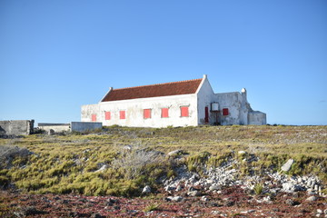 Old Building 