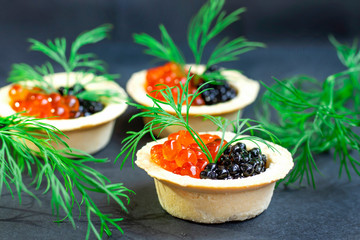 red caviar and black caviar are in tartlets close-up, with dill, on a black background