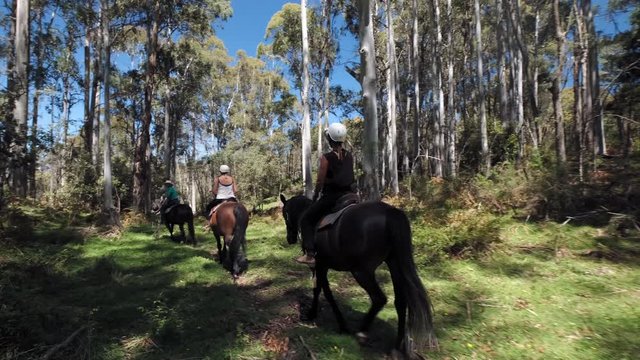 Group of people riding horses through a path in the woods as a hobby.