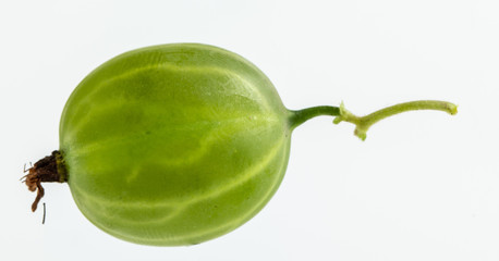 One fresh green gooseberry on white background