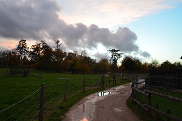 road in the countryside