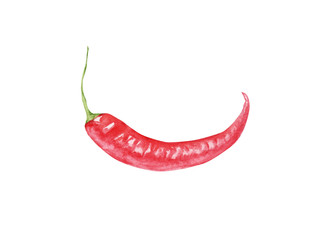 hand painted Watercolor cayenne pepper isolated on white background. red pepper, chilli, whole. for design Food journal, magazine article, recipe book picture, menu . Eco, organic food.