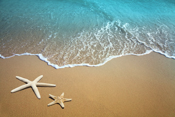 Two starfish on beach. Sand and sea wave.