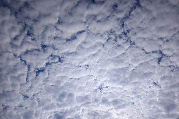 Beautiful altocumulus clouds in mosaic tiles pattern