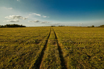 Fototapeta na wymiar The road in the middle of the meadow in the light of the setting sun