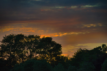 Sunset and trees