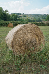 Round straw bales on a field in Tuscany, Italy