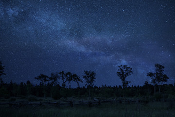 milky way with cedar fence