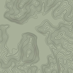 Topographic map lines background. Abstract vector illustration. Contour vector map.