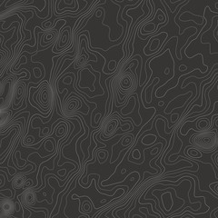 Topographic map lines background. Abstract vector illustration. Contour vector map.