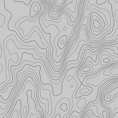 Topographic map lines background. Abstract vector illustration. Contour vector map.