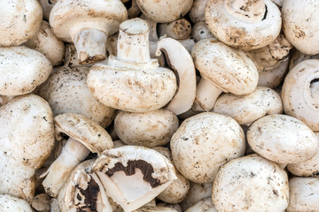 Frische Champignons werden nach der Ernte direkt auf einem Wochenmarkt angeboten
