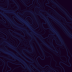 Fototapeta premium Topographic map lines background. Abstract vector illustration. Contour vector map.