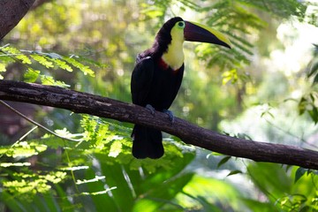Pictures from a river tour in Costa Rica