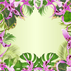 Seamless border tropical flowers  floral arrangement, with   Orchid Dendrobium nobile spotted  purple and white  palm,philodendron  vintage vector illustration  editable hand draw