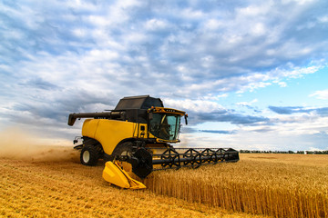 Obraz premium Harvesting in a wheat field combine.