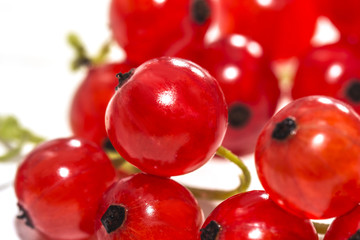 Juicy currant. Fresh red currant isolated on white background, close up