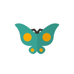 butterfly holiday flat vector icon