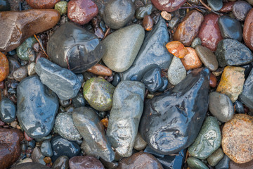 Wet Fluvial Rocks - Rounded By the Water