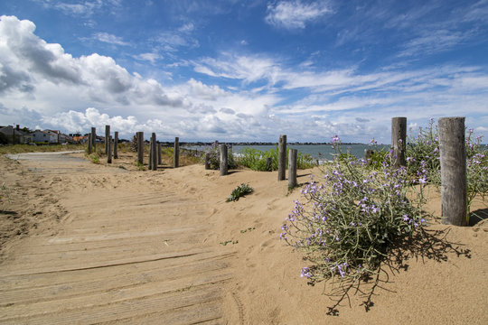 Tharon plage