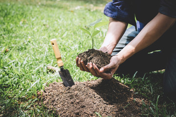 Fototapeta premium Planting a tree, Two hands of young man were planting the seedlings and tree growing into soil while working in the garden as save the world, earth day, nature, environment and ecology concept