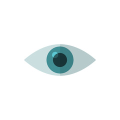 pupil flat vector icon