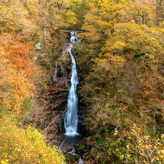 Black spout waterfall outside of Pitlochry, Perthshire,, Scotland