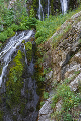 mountain wooded waterfall among the rocks in summer