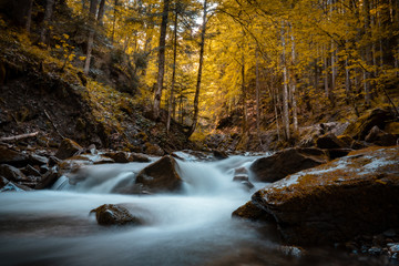 Bachlauf am Tegernsee