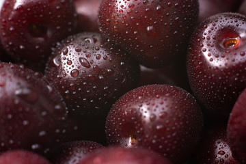 Cherry . Close up of fresh cherry berries with water drops.