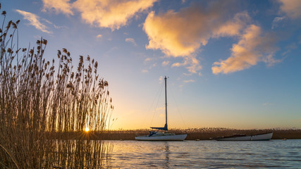 Sunrise over reedbeds  looking towards Poole Harbour from Swineham Point near Wareham, Dorset, on a windy winter day