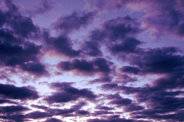 sub tropical sky back ground