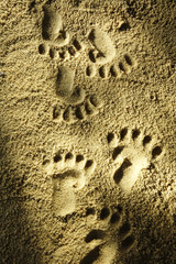 Fußabdrücke im Sand