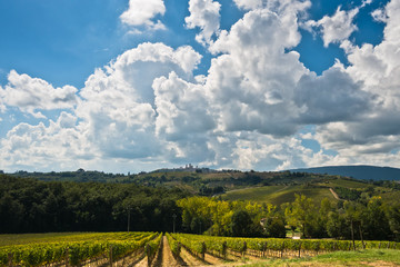 Fototapeta na wymiar Hiking hills, backroads and vineyards at autumn, near San Gimignano in Tuscany, Italy
