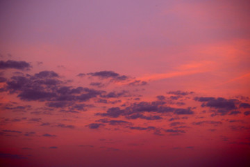 sub tropical skies background