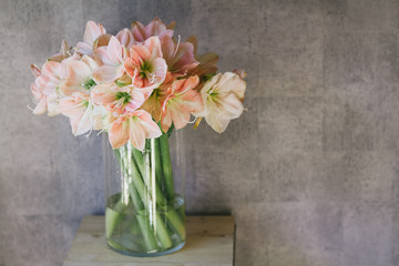 Beautiful bouquet of flowers in a vase