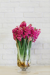 Beautiful bouquet of flowers in a vase