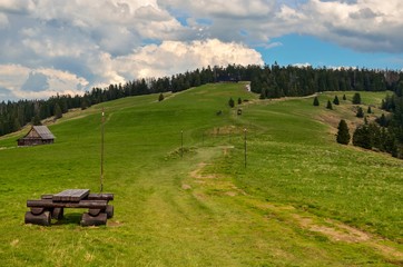 Beautiful spring mountain landscape. Green clearing on a mountain trail.
