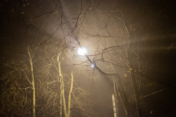 The light of the Phanarians in the night. City at night. Night is a time of crime.