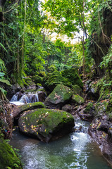View on a mountain river in Sacred Monkey forest in Ubud