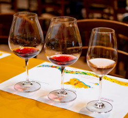 Professional wine tasting, sommelier course, cold rose and red dry wine in wine glasses